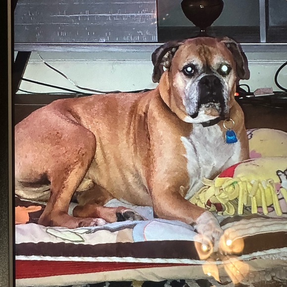 OVER 5LBS ADDITIONAL CHARGE. - Picture 2 of 9